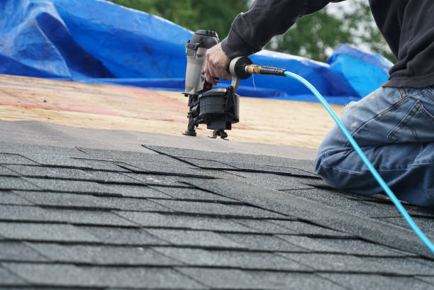 Roof Gutter Cleaning in Stonecrest, GA