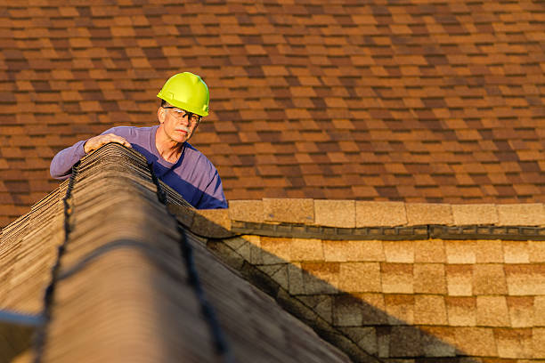 Best Roof Gutter Cleaning  in Stonecrest, GA